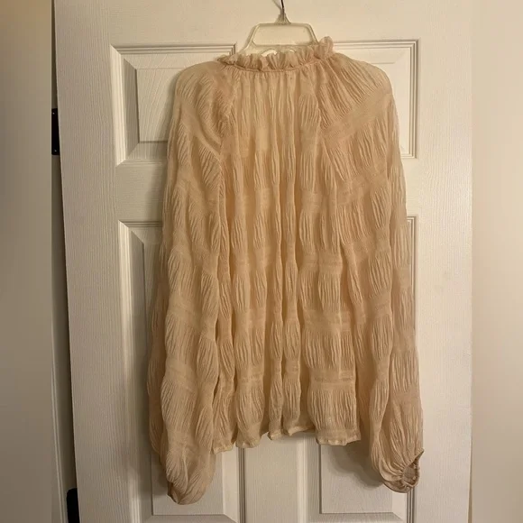 Free the Roses Sheer Ruffled Blouse - Picture 8 of 9